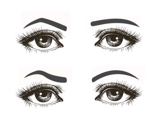 eyebrow styles